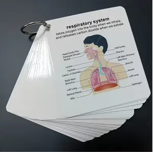Human Body System Anatomy Card, 1 Set Medical & Nursing Learning Guide with Rings, Portable Learning Card for Students, Gift for Students, Multifunction, Square Nursing Flashcards