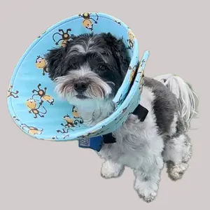 Soft Dog Cone for Surgery Recovery – Comfortable & Flexible (Monkey Print)