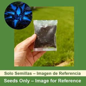 800+ Flower Seeds for Shade Gardens