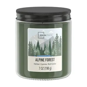 Mainstays Alpine Forest Scented Single-Wick Twist Jar Candle, 7oz