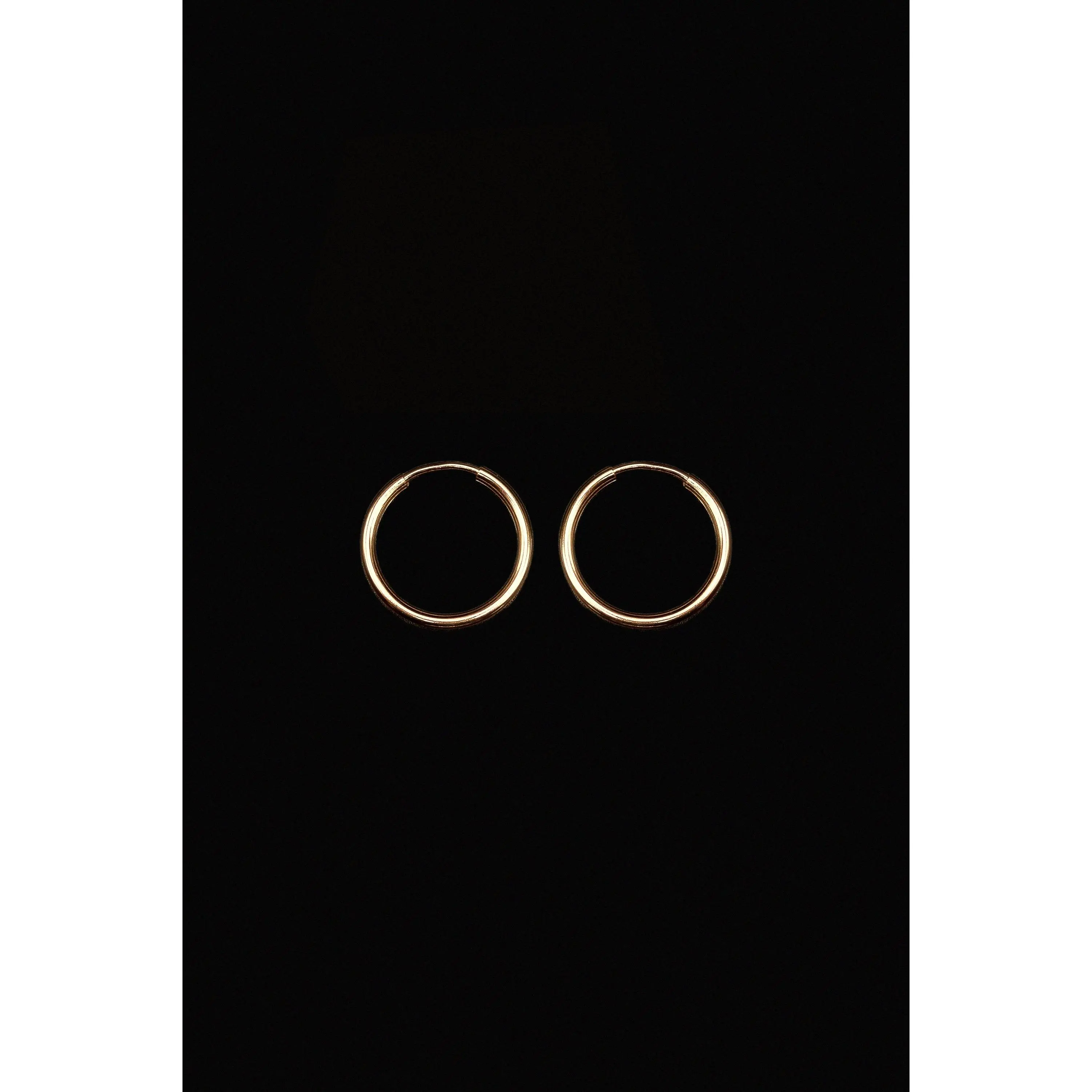 Endless Hoop Earring in 14K Gold Fill