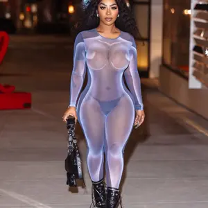 Electra Gray Sheer Jumpsuit