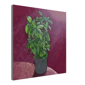 Basil Pot Canvas