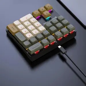 APAYADO 33 Key Mechanical Number Keyboard, USB Wired Backlit Keyboard with LED Light, Portable Mini Keyboard for Computer Office, Office Accessories