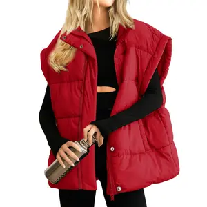 Hixiaohe Womens Casual Oversized Puffer Vest Stand Collar Full Zip Sleeveless Bubble Puffer Vest Quilted Padded Warm Coat Outwear TikTokShopBlackFriday