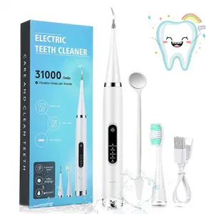 Electric Tooth Cleaner, 1 Set Water Flosser & Electric Toothbrush, IPX6 Waterproof Water Flosser, Oral Irrigator, Teeth Cleaner, Personal Care Appliances