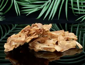 Haitian Tablet Kokoye