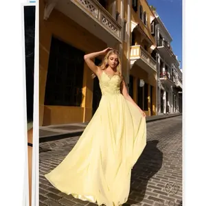 C1462 Lace Applique Sleeveless Chiffon Gown Womenswear