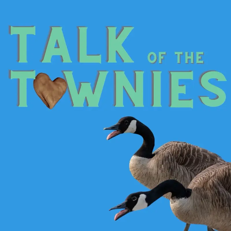 Talk of the Townies: A Small-Town Rom-Com