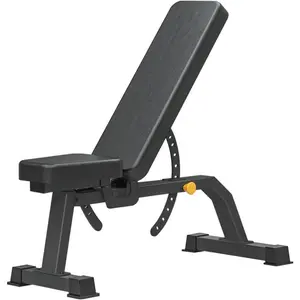 Adjustable Professional Weight Bench Incline Flat Decline Sit Up Bench Dumbbell Stool
