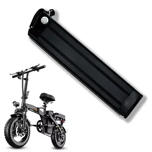 Silver Fish 48V 15.6Ah E-bike battery Lithium Batteriy  Controller for 0W-1000W Electric Bike Bicycles Motor Urban commuter electric bicycles Built-in Bluetooth smart BMS Compatible with high-power motors