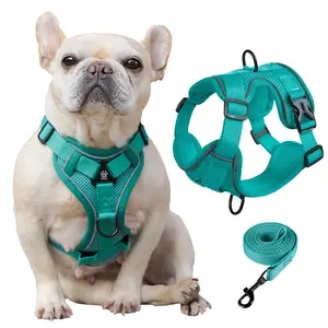 HELETY Viral Escape Proof Dog Harness Set with 5ft Matching Leash, No-Pull 3D Breathable Mesh No Choke Dog Vest, Easy Quick-Release Safety Pet Harness for Frenchie, Pug, Small Medium Dogs Plush Corduroy