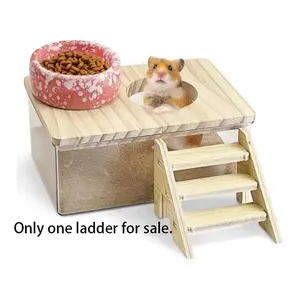 Transparent Acrylic Bath Sandbox or Ladder, Dual Purpose Large Small Pet Toilet Bowl, Beach Theme Design, Wooden Platform, Ideal for Goldfish Supplies, Hamster Cage Habitat