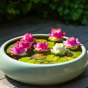 CZ Grain Lotus Seeds - 12 Seeds - Great for Koi Pond, Aquatic Plant