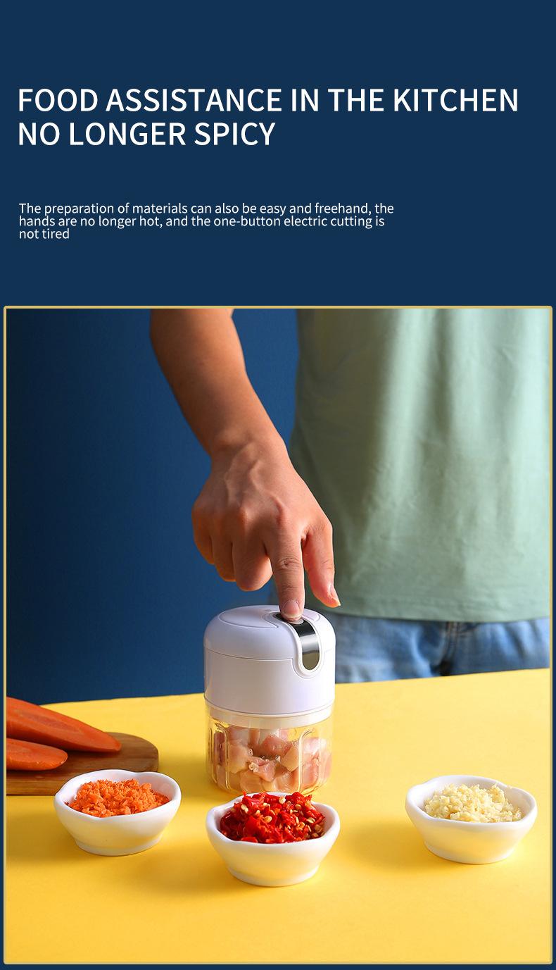 Multi-Function Meat and Vegetable Chopper/ Grinder