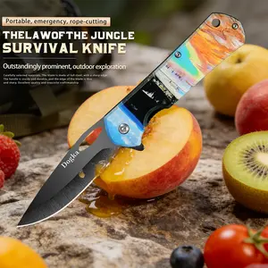3D Free Beach Kitchen Fruit Knife, 3.93-inch sharp blade, EDC portable folding knife, suitable for outdoor hiking, camping, and men's gifts