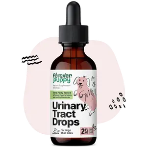 Urinary Tract Drops for Dogs - Bladder Supplement w/Corn Silk & Chanca Piedra Stone Breaker - Dog Food Supplements - Sugar & Alcohol-Free Liquid Drops - 2 oz