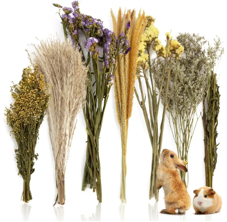 Sukh 47Pcs Natural Hamster Herb Bedding - Dried Flower & Forage Mix for Small Animal Habitat Décor, Enrichment Toys for Syrian Dwarf Hamsters, Guinea Pigs, Gerbils and More
