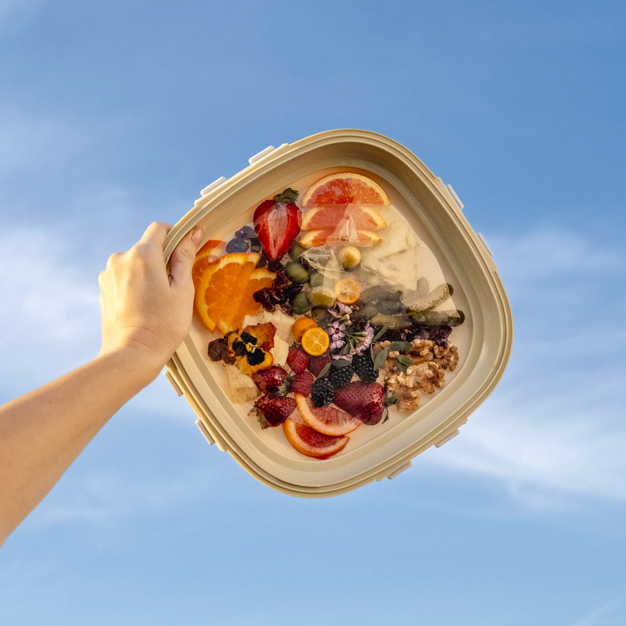 Stretch-Lid Containers