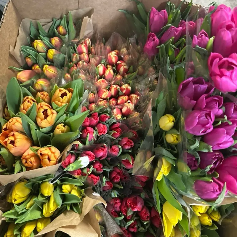 Arreglos de Rosas Naturals - Natural Flower Arrangements Displayed in Assorted Colors and Types