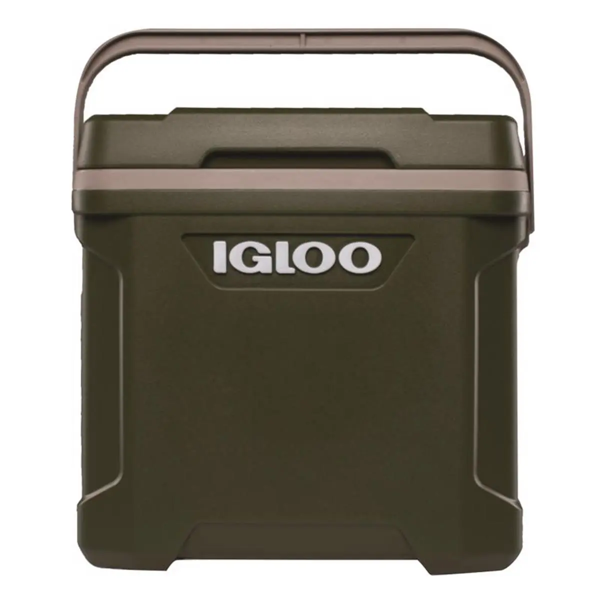 IGLOO Insulated Lunch Bag, 30 qt. Portable Green Polyethylene Tote for Food & Beverage Cooling, Sports & Outdoor Activities, Hiking, Large, Functional