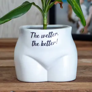 I'm A Grower Put Some Plants On - Novelty Indoor Planter