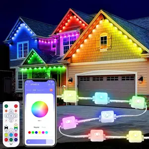 IC RGB Eave Outdoor Lights, Permanent Outdoor LED Colorful Eave Lights, with APP Control and Remote Control, DIY Mode, IP67 Waterproof Festive Decorations.