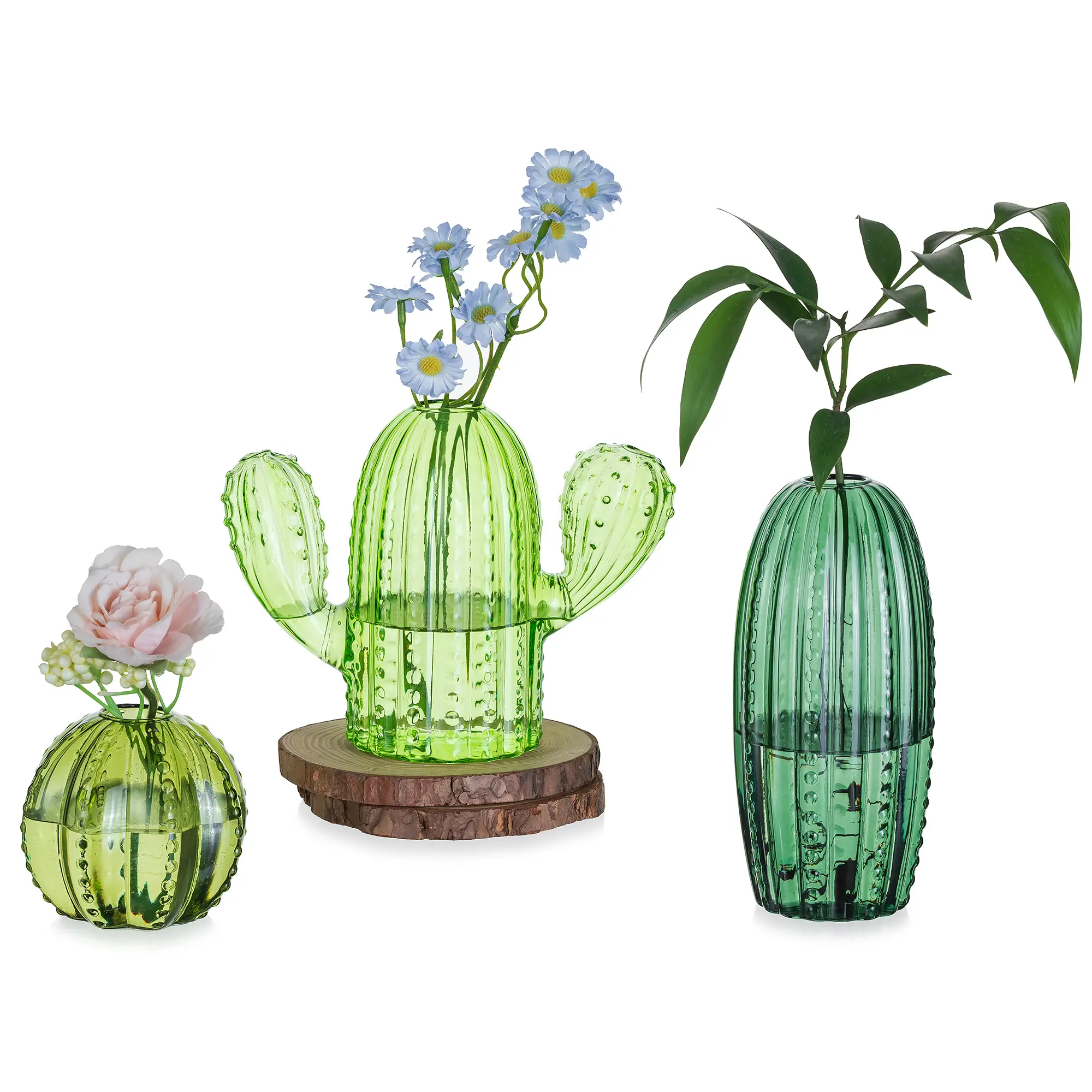 Glasseam 3-Piece Cactus Glass Plant Propagation Stations - Hydroponic Luxurious Centerpieces Vases with Stable Base for Air Plant Cuttings, Tall Round Ball Cylinder Home Ornaments for Work Decor