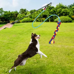 Flirt Pole Toy for Dogs, Interactive Training Pet Teaser Wand with Rope Lure Chewing Toy, Outdoor Pet Teaser Pole for Dogs Chase and Tug of War, Dog Trainer Flirt Stick Pole Teasing Toy