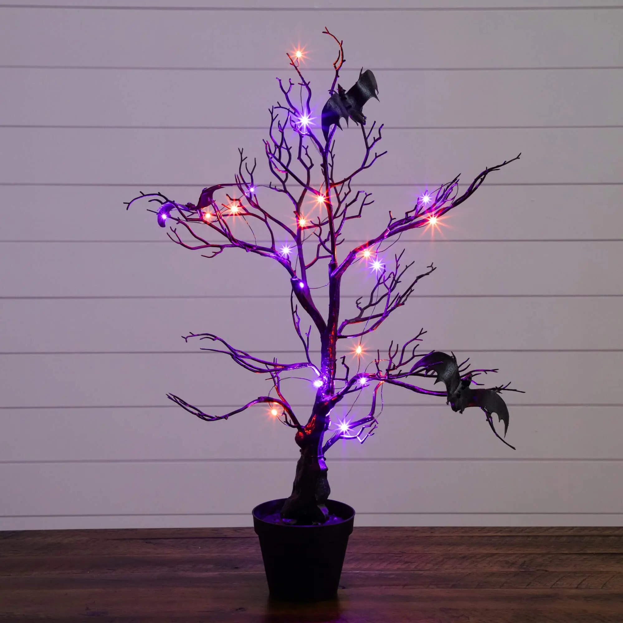 2' Standing Pre-Lit Artificial Halloween Eerie Black Twig Tree Decoration - Home Supplies, 40 Orange & Purple LED Ambient Lighting, Bats, Colorful Lights, Space-Saving Festive Home Decor