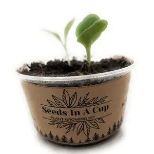 Seeds In A Cup - Plant Grow Kit | Caraway | Herb, Plant, Flower Starter Kit for Kids & Adults | Windowsill Garden Grow Kit | Guaranteed to Grow | Best Indoor Grow Your Own Plant Gardening Gift