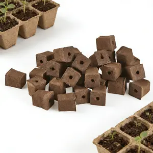 50 Pcs Starter Plugs Indoor Garden Hydroponic System, Replacement Grow Sponges Plant Plugs, Promotes Herbs, Vegetables and Flowers Growth