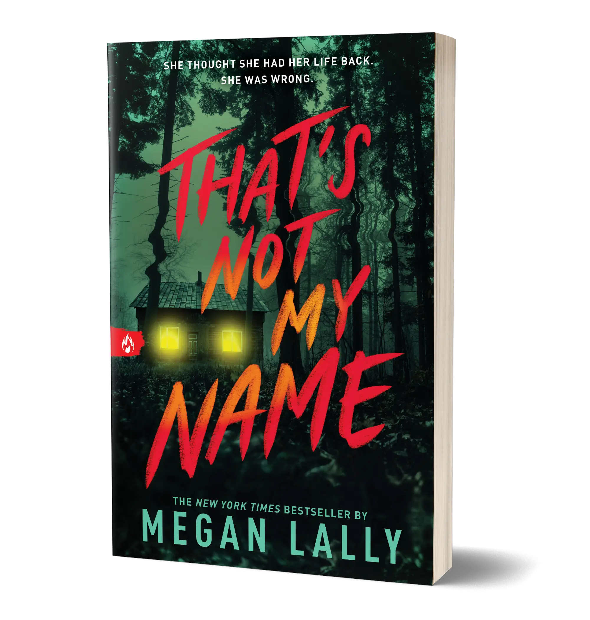 That's Not My Name: A Gripping Debut Thriller