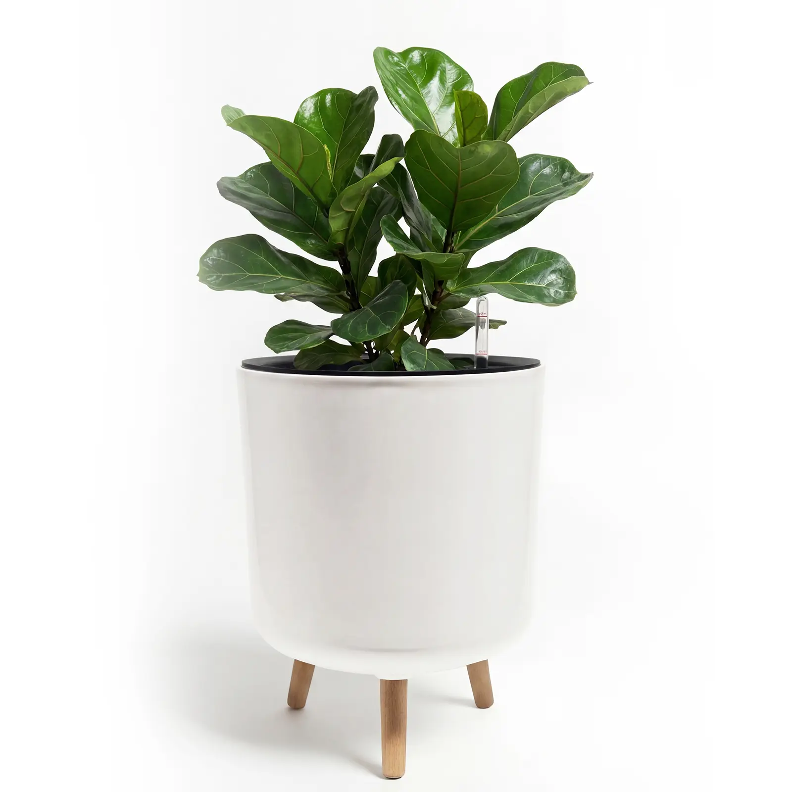 Bamworld Self Watering Pots for Indoor Plants with Water Level Indicator 8 inch  10 inch 12 inch Plant Pot Plastic Planter with Wooden Stand for Outdoor Plants Modern Décor for Porch Patio White
