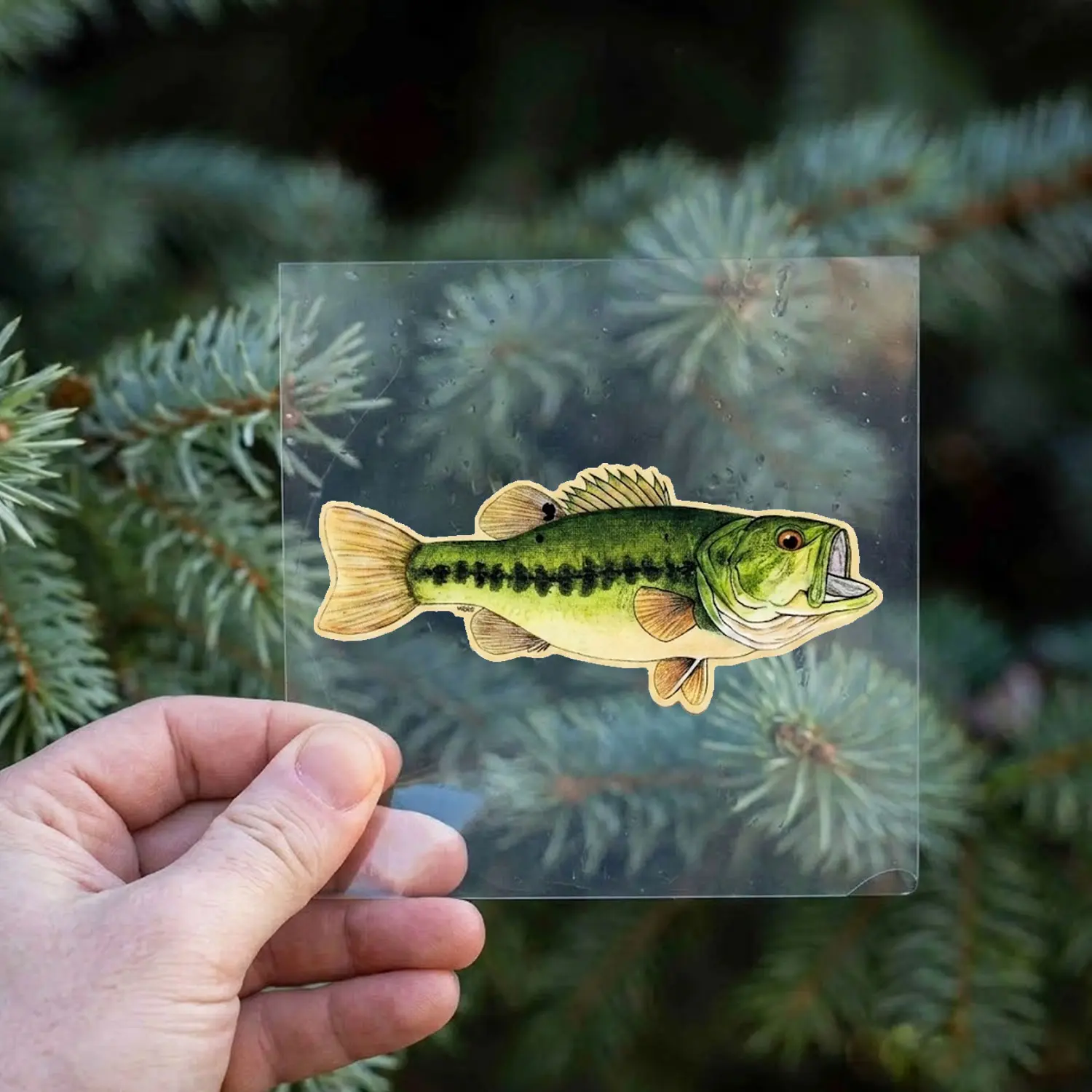 Largemouth Bass Fishing Sticker, Waterproof Vinyl Decal, Bass Fish Sticker for Tackle Box, Laptop, Water Bottle, Fishing Gift