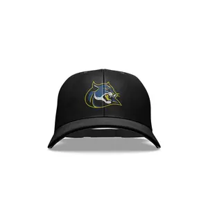Wise Marching Band: Snapback Hat