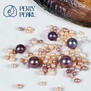 【Starter Set】 – Perry Party+Blue Berry