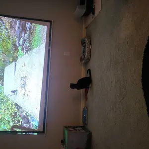 review image 3