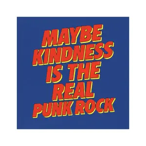 Maybe Kindness Is The Real Punk Rock Car Magnet, Superhero Movie Merch, Car Magnet For Fans