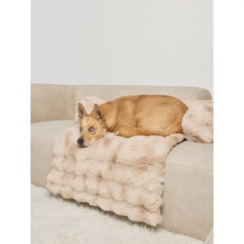 Comfrt | Dream Cloud Pet Sofa Bed