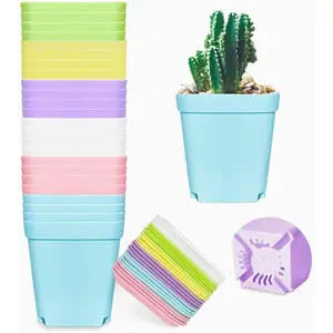 24 Pack 3ih Multi Color Square Plastic Plant Pots,Seedling Nursery Transplanting Planter Container Indoor Outdoor for Your Room,Garden Office and Balcony Decor