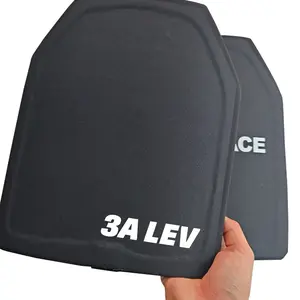 10x12-inch Single-Curve Premium Plate (Grade 3A) — 1.1 lb (0.5 kg) Weighted Training Plate, Designed for Fitness and Sports
