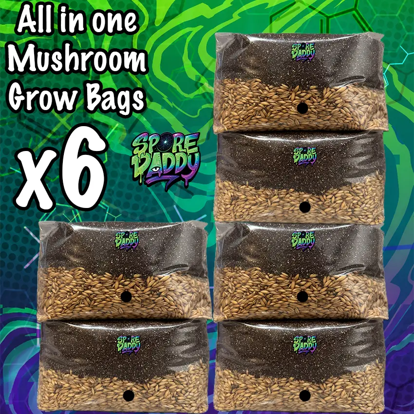 Mushroom Grow Bag | x6 | Manure Substrate/Oats | Spore Daddy