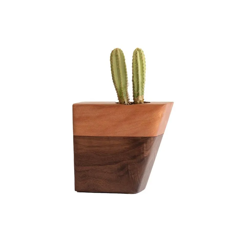 Small Planturn™ Cremation Urn in Walnut & Sycamore Personalized Wooden