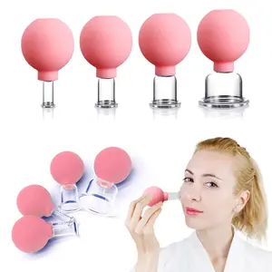 4 Pcs Glass Facial Cupping Set,Pink Silicone Vacuum Suction,Cupping Massage Therapy,A Kit For Anti Cellulite,Anti Wrinkle and Instantly Ageless Skin,For Eyes,Face and Body Clear