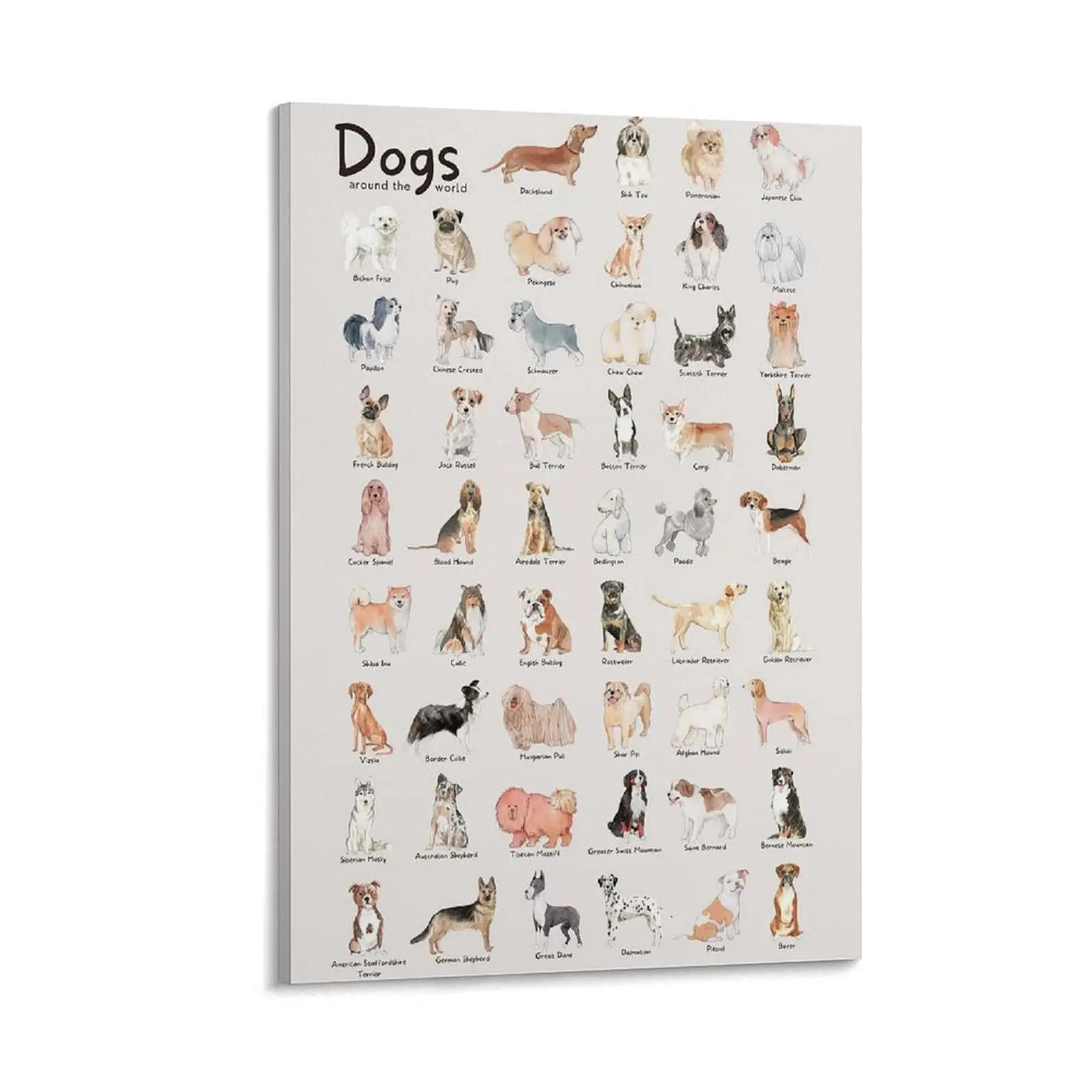 Dog Breeds Illustrated Poster - Popular Canine Collection Wall Art for Kids Room & Veterinary Office Decor, Educational Pet Guide Chart Canvas Poster Bedroom Decor Sports Landscape Office Room Decor Gift Frames Ornaments Print Artistic Decoration Photo