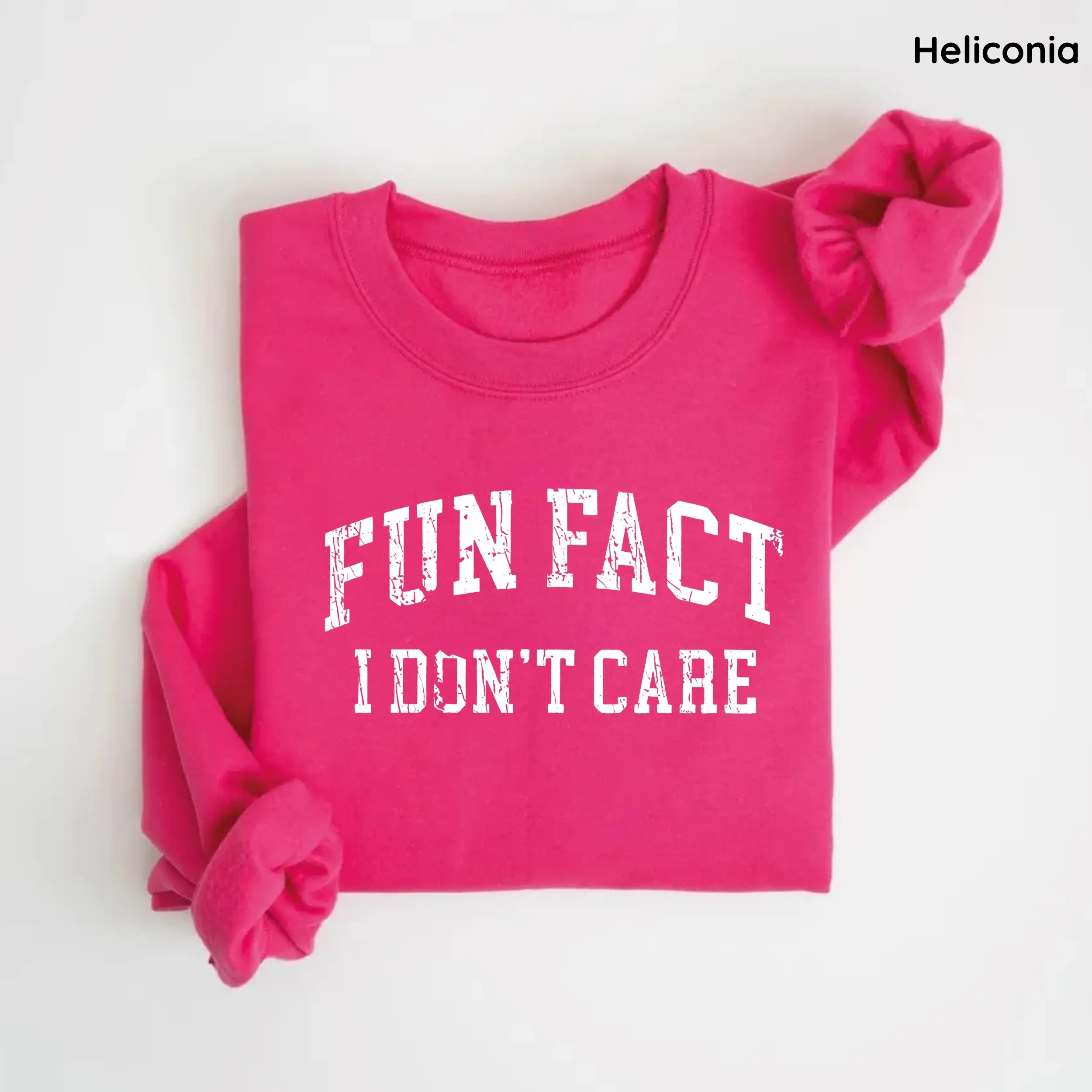 Gildan Fun Fact I Don't Care Sweatshirt, Funny Quote Sweatshirt, Women's Crew Neck, Trendy Gift for Women, For Woman