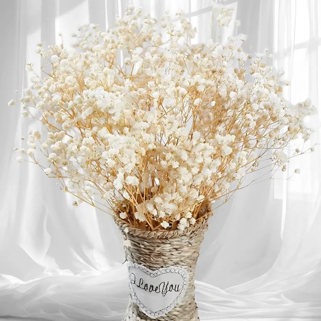 Bulk Dried Babys Breath Flowers (2500+), 17in Ivory White Gypsophila Branches Bouquet - Real Natural Decorative Vase Filler, Ornaments for Wedding, Home Decor, DIY Crafts, Bouquet Decorations, Decoration Bouquet
