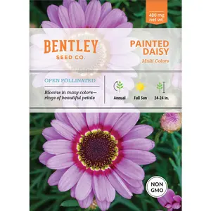 Daisy, Painted Daisy Seed Packets