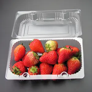 50 Pack Clear Plastic Clamshell Food Containers – Square Cake Slice Containers with Hinged Lids, Disposable To Go Bento Boxes for Pastry, Salad, Dessert, Sandwiches, Fruit